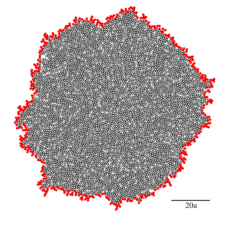 Silvio Costa Ferraria et al - Figure 1 from Pitfalls on the determination of the universality class of radial clusters
