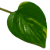 https://raw.githubusercontent.com/wiki/pothosware/PothosCore/images/pothos_small.png
